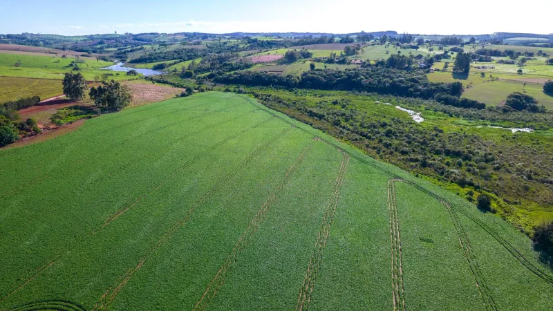 Aula no pasto, patrimônio na mesa: as fazendas-escola que formam os herdeiros do agro brasileiro